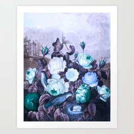 Teal Roses Blue Birds : Temple of Flora Art Print