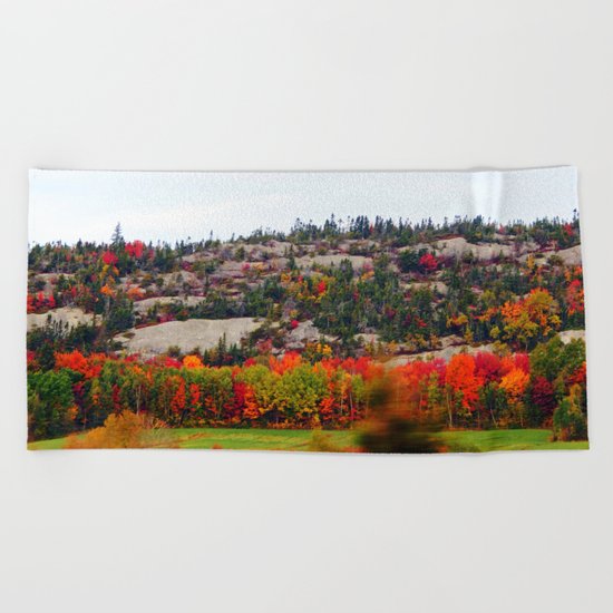 Trees and the Rock Beach Towel