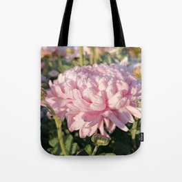 A delicate pink flower and emerald dew on the petals of the chrysanthemum Tote Bag