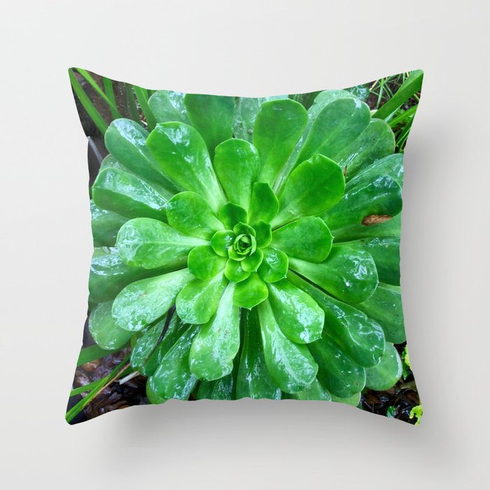 Giant succulent flower Throw Pillow by Sarah Sunshine