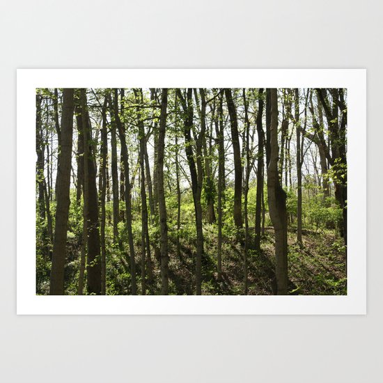 Near the Rope Swing Art Print