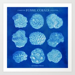 Fossil Corals Cyanotype Collection Art Print