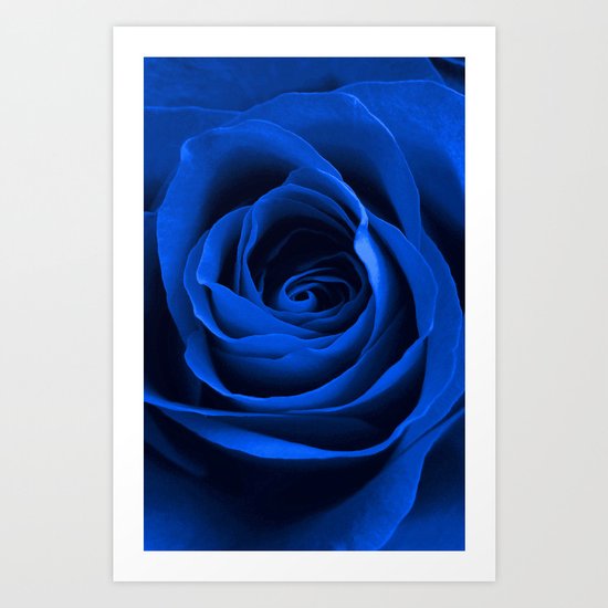 Blue Rose Art Print