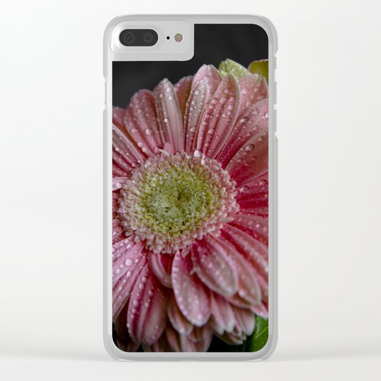 Gerbera spring Clear iPhone Case