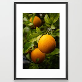 Hybrid Orange Framed Art Print