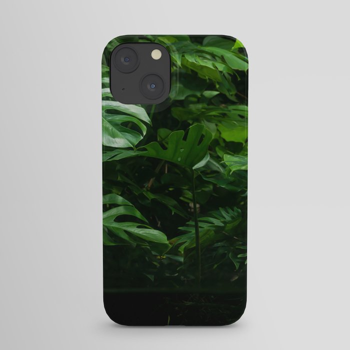 Brazil Photography - Dense Leaves In The Rain Forest iPhone Case