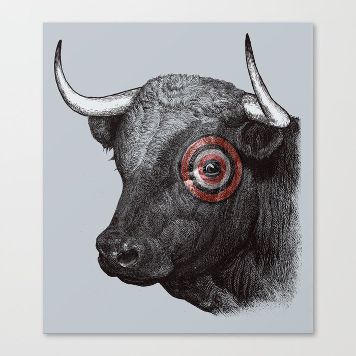 Bullseye Canvas Print