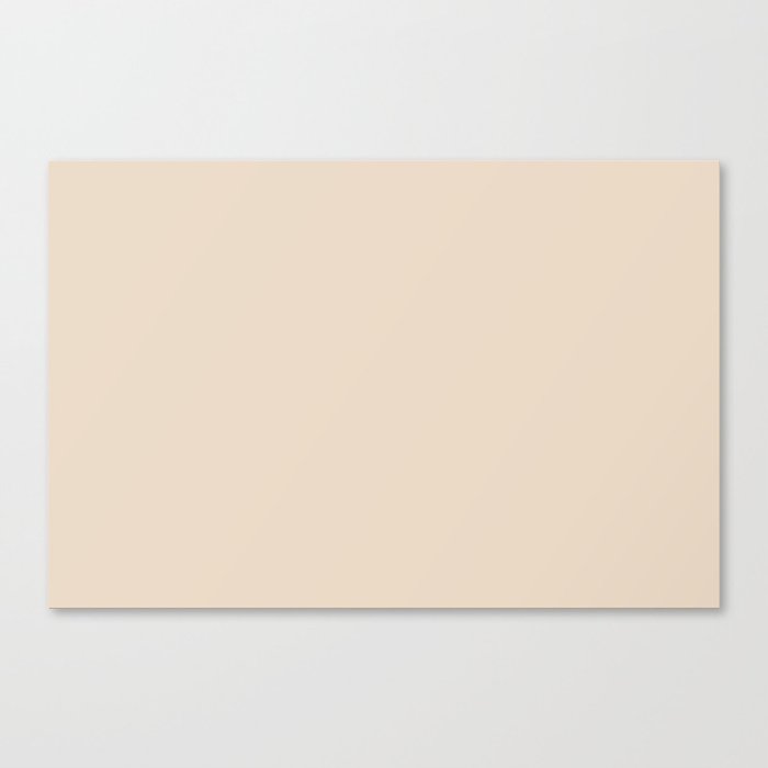 Neutral Beige Brown Solid Color Pairs PPG Oatmeal Cookie PPG1080-1 - All One Single Shade Hue Colour Canvas Print