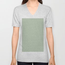 Light Gray-Green Solid Color Pantone Bo Choy 13-6208 TCX Shades of Green Hues V Neck T Shirt