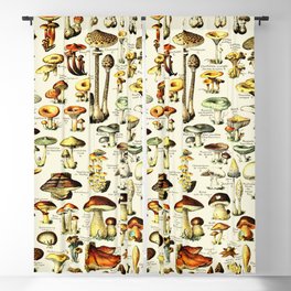 French Vintage Cream Mushrooms Chart Adolphe Millot Champignons Larousse Pour Tous Boho Maximalist Blackout Curtain