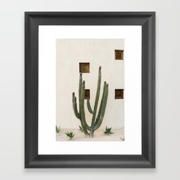 Cabo Cactus IX Framed Art Print