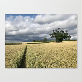 Fields, South of Kenilworth Canvas Print