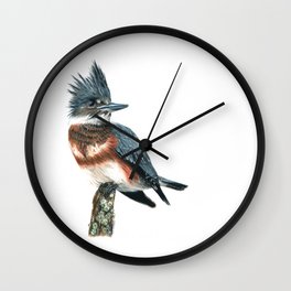 Belted Kingfisher Wall Clock | Animal, Drawing, Nature, Feathers, Illustration, Natural, Water, Michigan, Colored Pencil, Cute 