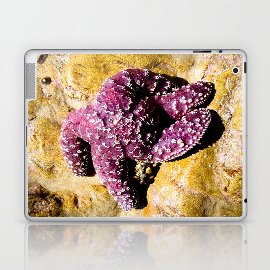 Purple Star Laptop & iPad Skin