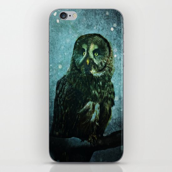 OWL iPhone & iPod Skin