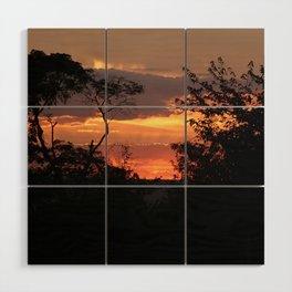 Brazil Photography - Silhouette Of Trees Under The Red Sunset Wood Wall Art