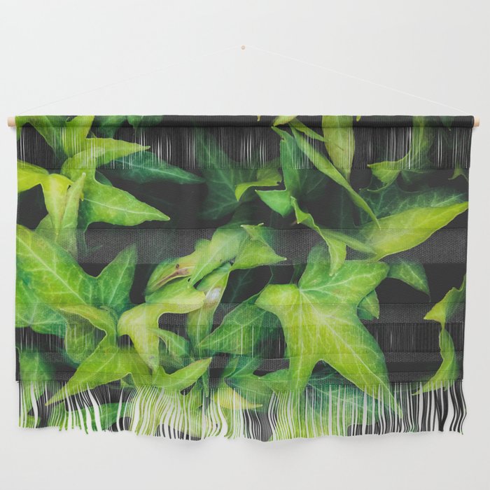 closeup green ivy leaves garden background Wall Hanging