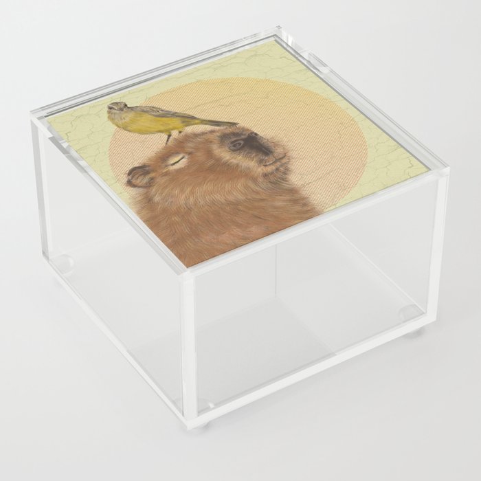 capybara | capivara Acrylic Box