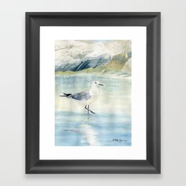 Seagull on the beach Framed Art Print