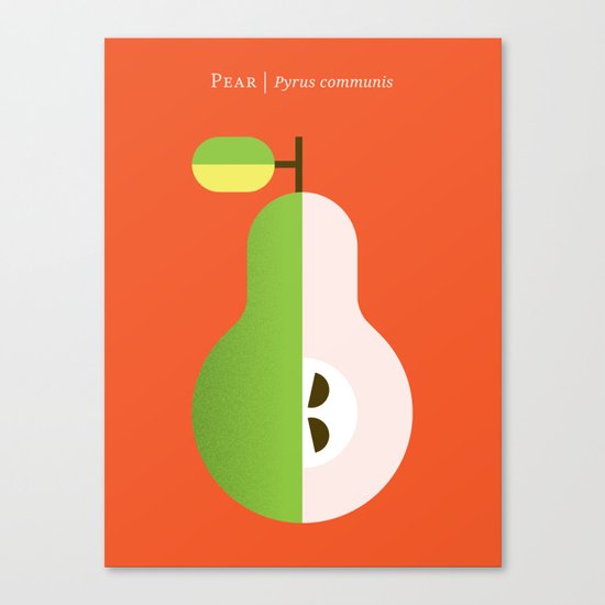 Fruit: Pear Canvas Print