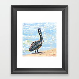 Pelican Framed Art Print
