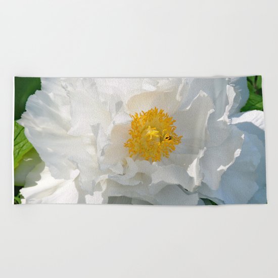 Open Beauty Beach Towel