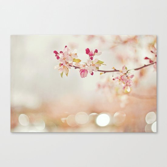 Cherry Blossom Canvas Print