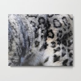 Snow Leopard Wild Cat Pattern Metal Print