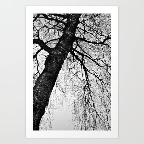 Intricacy Art Print