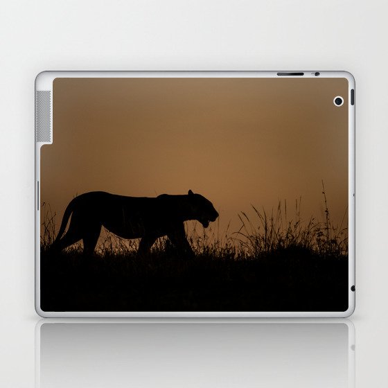 Lioness at Beautiful Sunrise Laptop & iPad Skin