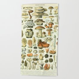 Vintage French Illustration - Champignons - Mushrooms  Beach Towel