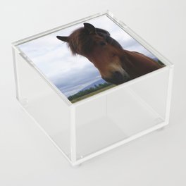 Icelandic Ponies are the Cutest Acrylic Box