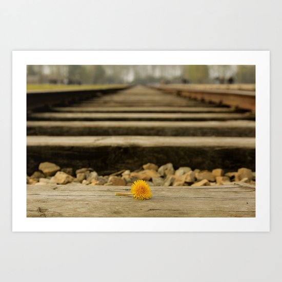 Krakow Art Print