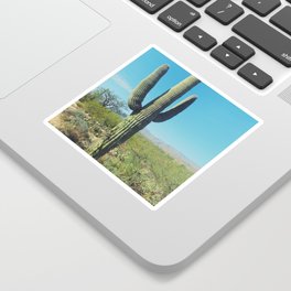 Saguaro Sticker