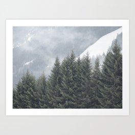 Pine Tree | Foggy Mountain Side Art Print