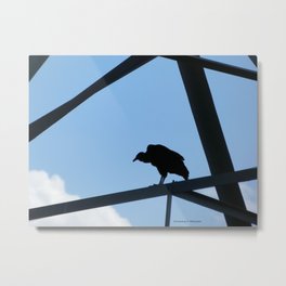 Black Vulture Metal Print | Vulture, Skyscape, Bird, Outdoors, Silhouette, Clouds, Whiteclouds, Nature, Digital, Naturephotography 
