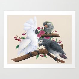 Fluffer, Congo and Charlie Art Print
