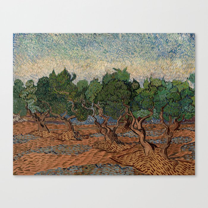 Vincent van Gogh - Olive Grove Canvas Print