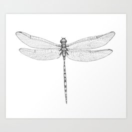 Dragonfly Wings Art Print | Entomology, Insecttapestry, Drawing, Insect, Dragonflyshirt, Insectlover, Abstract, Bug, Buglover, Black and White 
