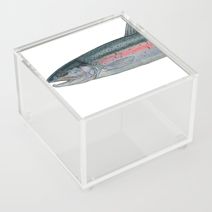 Rainbow Trout Acrylic Box