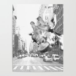 Black and White Selfie Giraffe in NYC Poster