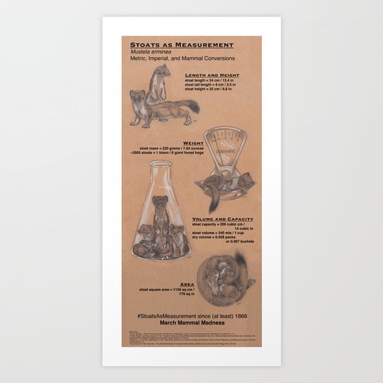 Stoats as Measurement Art Print