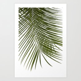 Palm Leaves I Art Print