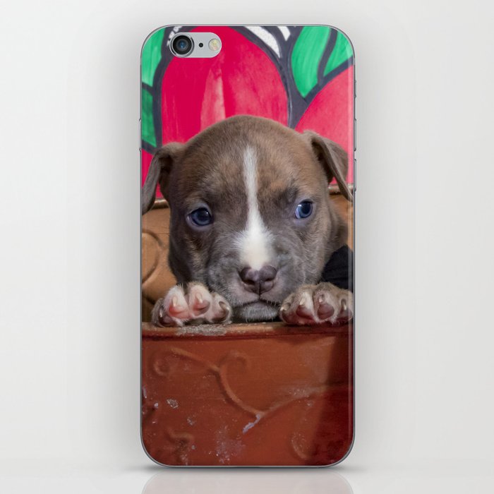society6