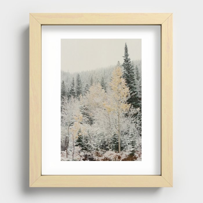Snowy Mountain Trees Recessed Framed Print