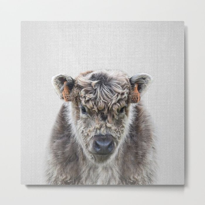 Fluffy Cow - Colorful Metal Print