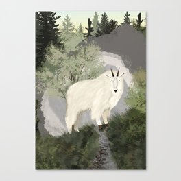 mountain goat Canvas Print