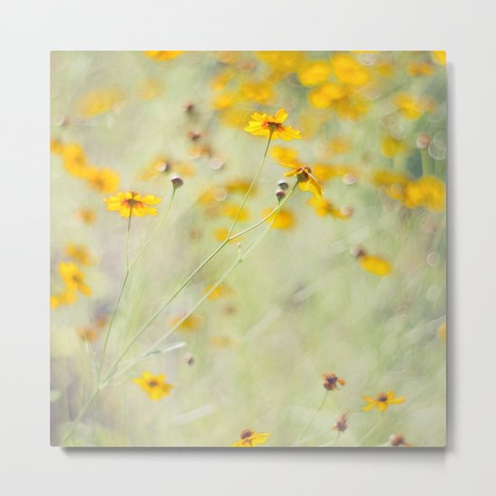 Summer Invitation Metal Print
