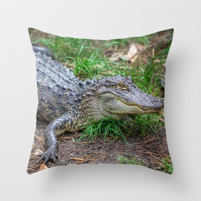 Alligator - Hello Darlin' Throw Pillow