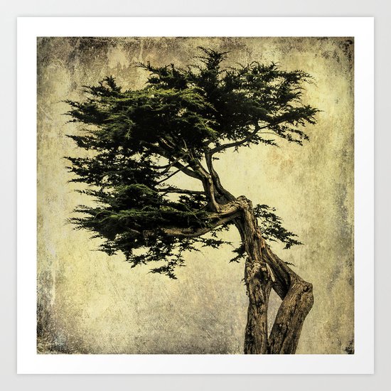 Cypress Tree Art Print